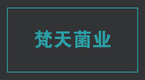 食品行业巴中冲锋衣设计款式